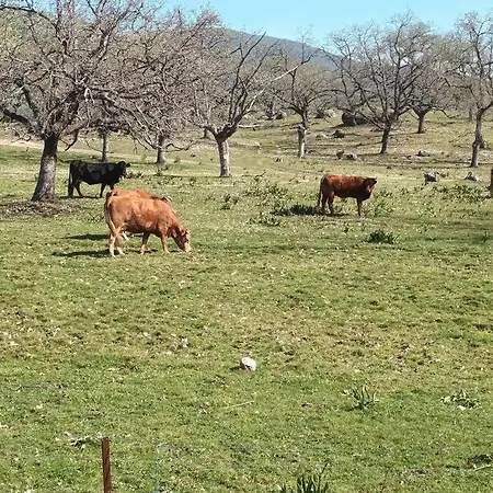 Casa Luna, Лосар-де-ла-Вера