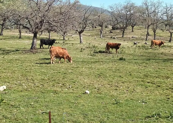 Casa Luna, Losar De La Vera